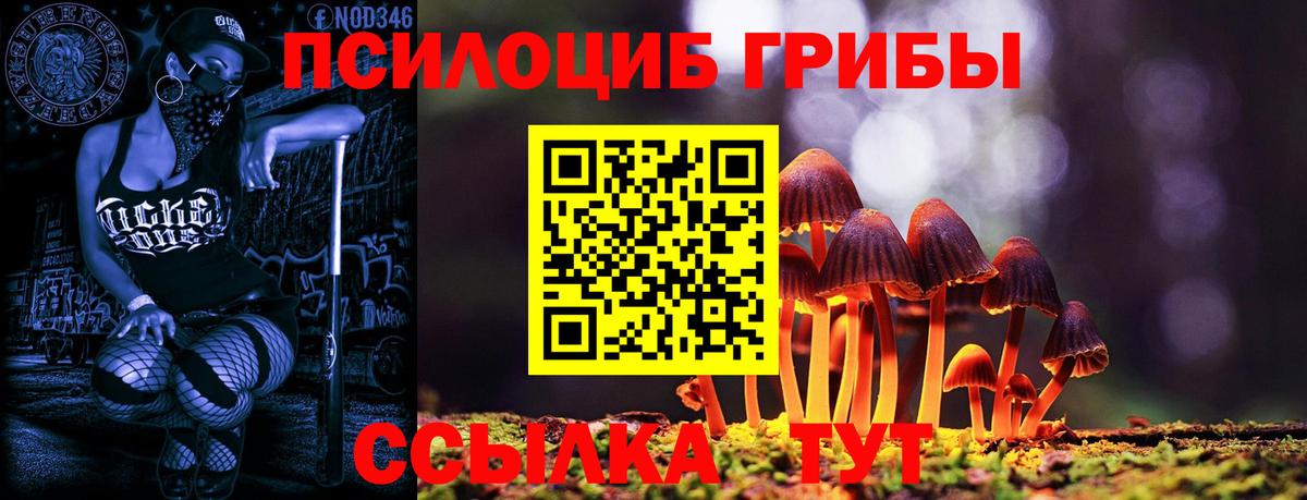 Галлюциногенные грибы GOLDEN TEACHER Острогожск