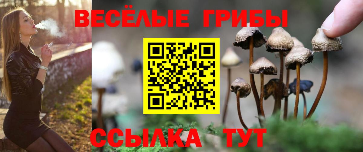 Острогожск  Псилоцибиновые грибы мухоморы  Галлюциногенные грибы Psilocybe  Вход с VPN 